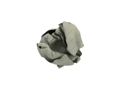 Crumpled paper 3D model