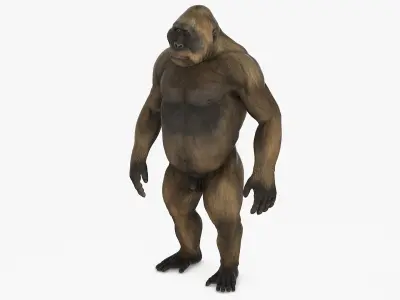 Big Ape Gigantopithecus in Standing Pose 3D model