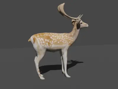 AXIS DEER LOWPOLY Low-poly 3D model