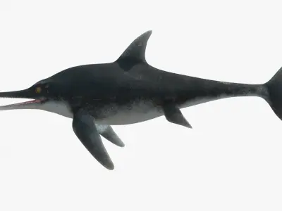 8K Realistic Ichthyosaurus Low-poly 3D model