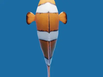 Realistic anemone clownfish ocean reef fish rigged  Low-poly 3D model