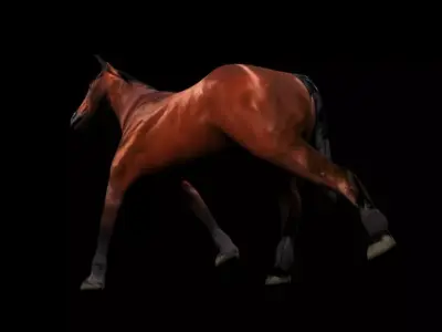Walking Horse 3D Model Low-poly 3D model