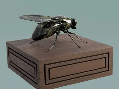 House Decoration Fly Bug Statue Low-poly 3D model