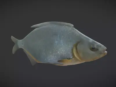 Dried Fish Low-poly 3D model
