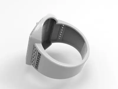 ANILLO CABALLO  3D print model