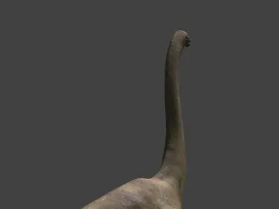MY SPECIAL DINOSAUR PACK - rex 3d model 3D model