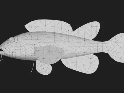 Scorpionfish Low-poly 3D model purchase