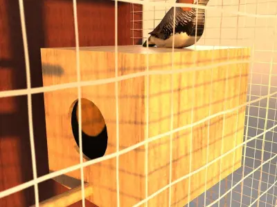 bird cage 3D model 2