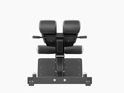 Technogym Lower Back Bench Pure 3D model
