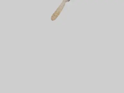 Cheetah Tail 3D model