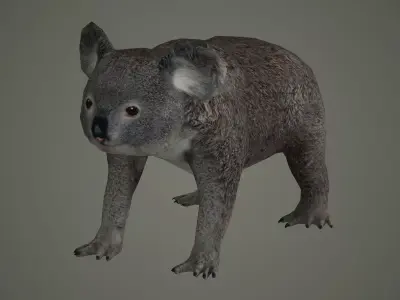 cute nature art animal mammal rat wildlife animals koala bear 3D model