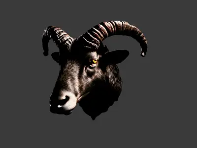 Animal Head Low-poly 3D model 16