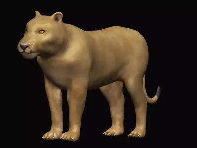 Lioness lion 3D model