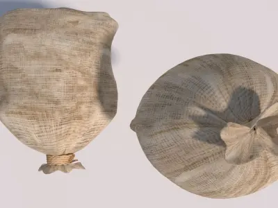 closed bags sacks 3D model