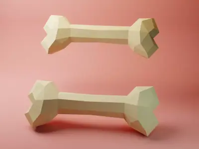 Bone lowpoly model Free 3D model