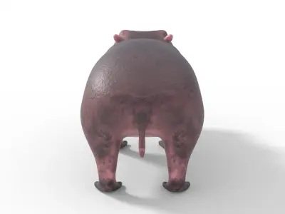 3D Hippopotamus Model Low-poly 3D model
