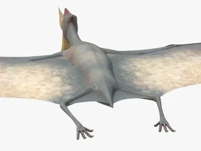 8K Realistic Pterodactyl Low-poly 3D model