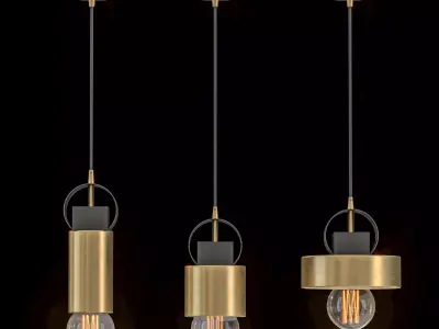 Electra Light 3D model