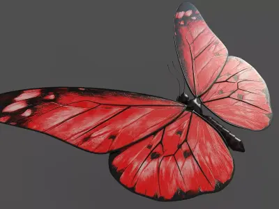 Butterfly 3d model with wings Low-poly 3D model