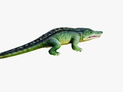 Alligator Free 3D model