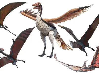 Dinopack Flying Static 3D model