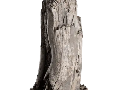  Medium Cut Decaying Bare Stump Model 