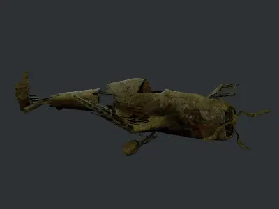 Plane Wreck Damaged Apocalyptic Game Ready 02 Low-poly 3D model