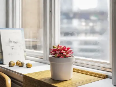  Sunrise Succulent Potted Plant Model  purchase