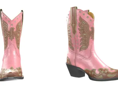 Eagle Star Cowboy Pink Boots 3D model