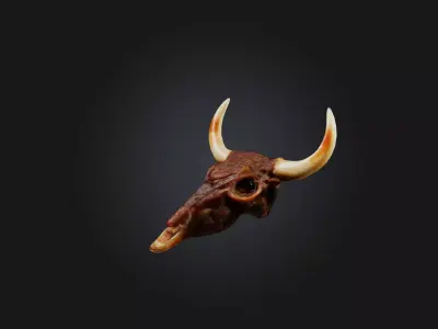 Oxtail Model Low-poly 3D model