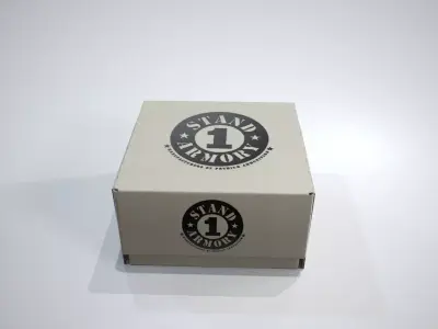 Cardboard Box Low-poly 3D model 4