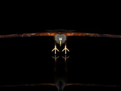 Eagle Full Rigged Low-poly 3D model