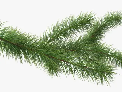  Green Pine Branch 