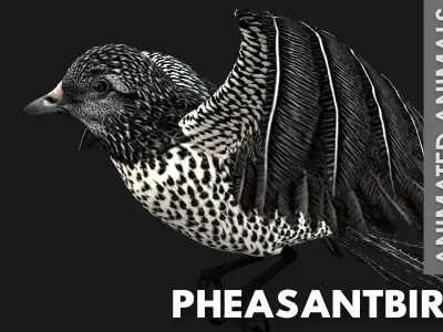 PheasantBird B7 Free 3D model