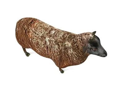 Black Sheep Rigged Low-poly 3D model
