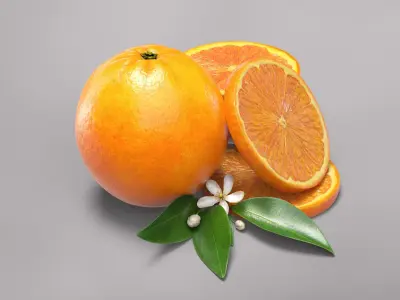 Oranges 3D model