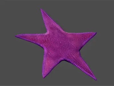 Starfish Low-poly 3D model purchase