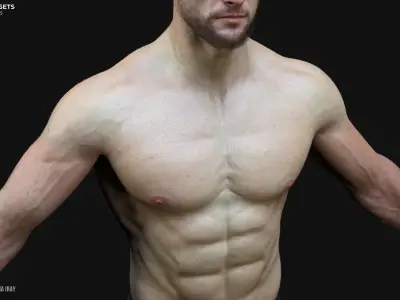 Lifelike Male Base 3D Model Low-poly 3D model