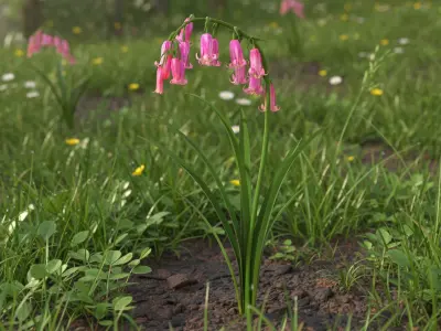 Bluebell Plants Set Mixed 3D model