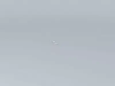 United Airlines Flight 288 and CargoLux Flight 9330F  Free 3D model