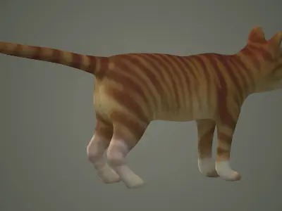 cats siamese tabby orange kitty animals puppy cat mammal  3D model