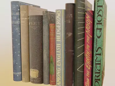 Old book Bundle - 10001 Low-poly 3D model