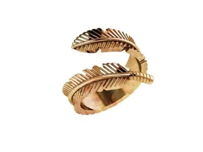 Leaf father antique ring  3D print model