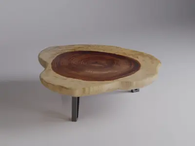 Suar Wood Coffee Table 3D model