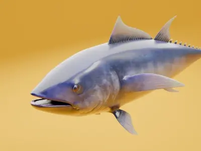 Tuna 3d model fish Low-poly 3D model