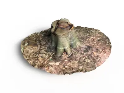 Forest Tree Stump 4K -Part 8-  Free low-poly 3D model