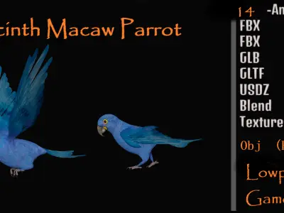 Hyacinth Macaw Parrot Low-poly 3D model