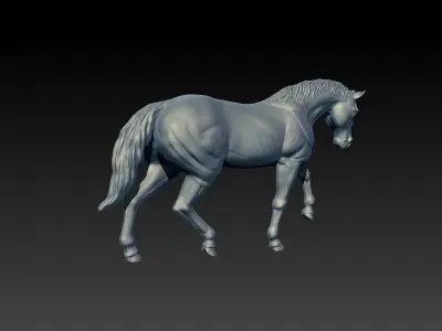 Horse 3D model 9