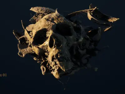 Broken Skulls with Spiderwebs and Cobwebs for Unreal Engine 5 3D model