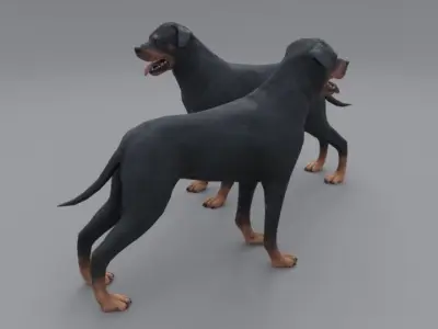 Rottweiler dog Low-poly 3D model